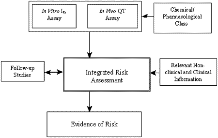 Prolonged Qt Interval. QT interval prolongation